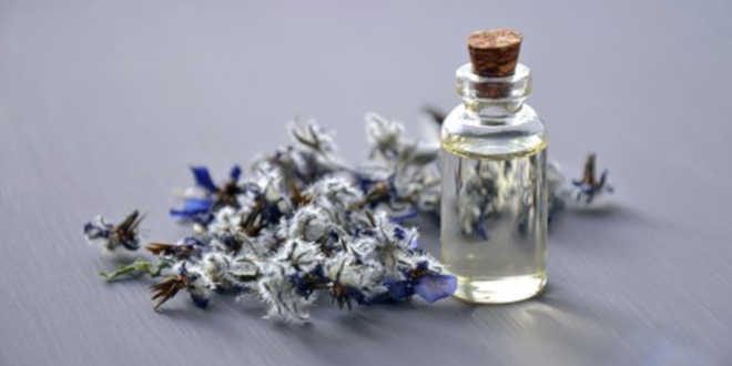 Olio di Borragine – Alleato per la salute della pelle Olio di Borragine – Alleato per la salute della pelle