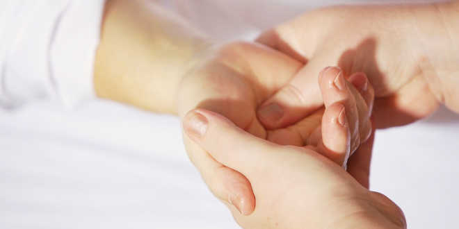 I molteplici usi dell'olio di borragine I molteplici usi dell'olio di borragine