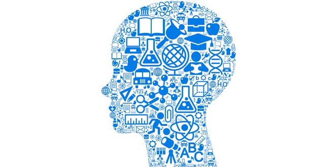 Ruolo della colina nell'organismo