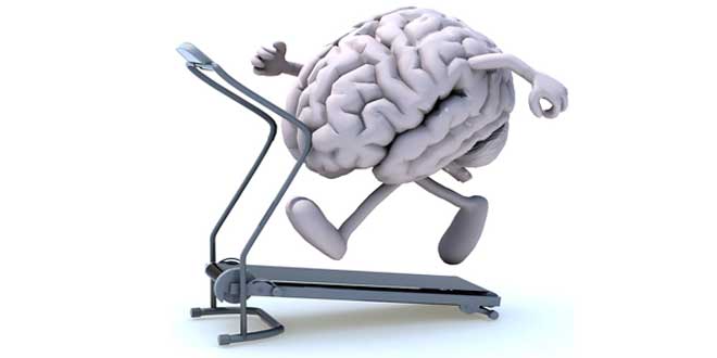 Colina e prestazioni