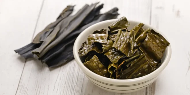 10 benefici e proprietà dell’alga Kelp per la salute 10 benefici e proprietà dell’alga Kelp per la salute