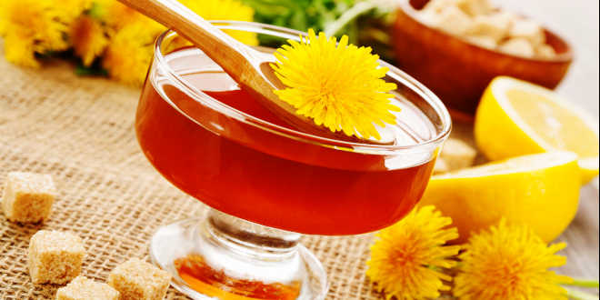 Infusione di dente di leone