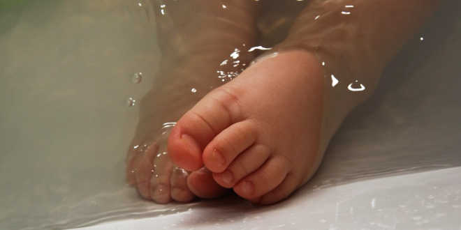 Forme di utilizzo del Ginkgo