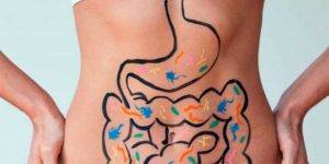 Inulina e salute intestinale