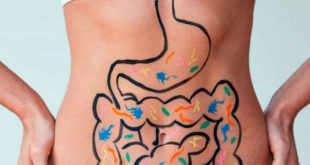Inulina e salute intestinale