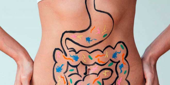 Inulina e suoi benefici per la salute intestinale