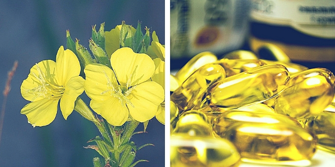 Combinazione olio di enotera e isoflavoni di soia