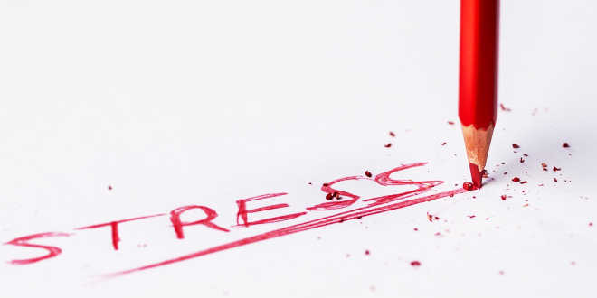 Ginkgo biloba per contrastare lo stress