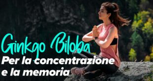 Ginkgo Biloba