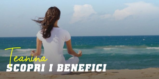 Teanina – Scopri l’aminoacido per combattere lo stress