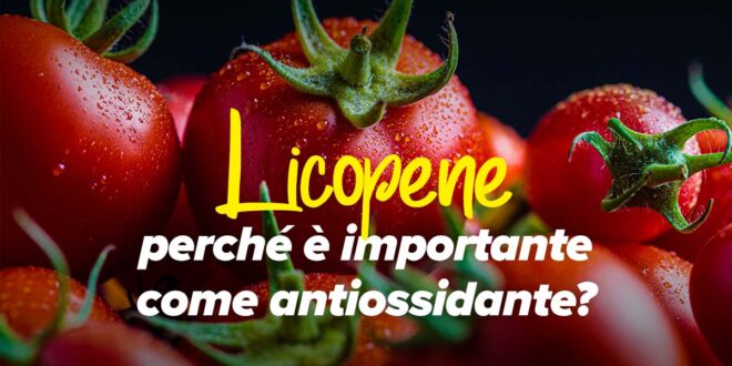 Il licopene e la sua importanza come antiossidante Il licopene e la sua importanza come antiossidante