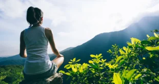 8 incredibili benefici del Ginkgo Biloba per la salute