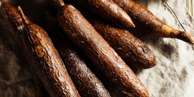 Da dove proviene la tapioca?