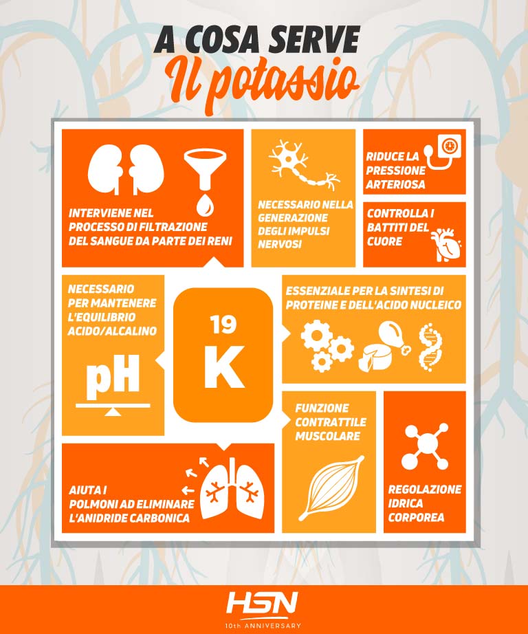 Principali funzioni del potassio