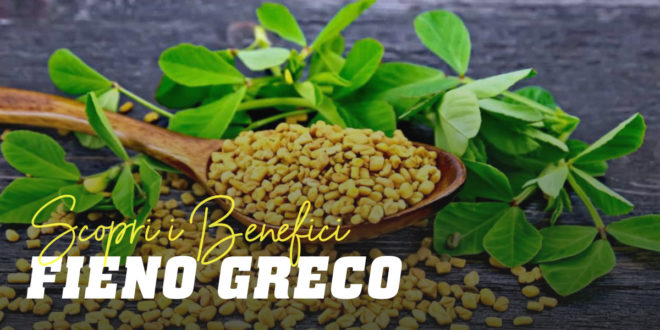 Fieno greco – Cos’è, usi medicinali e benefici per la salute