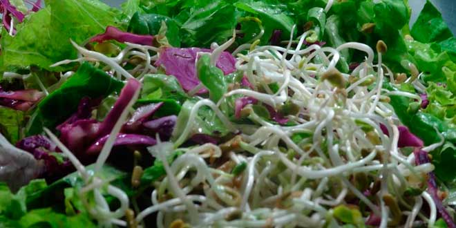 Insalata con fieno greco