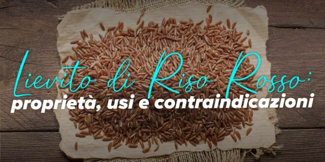 Lievito di Riso Rosso: proprietà, controindicazioni ed effetti…