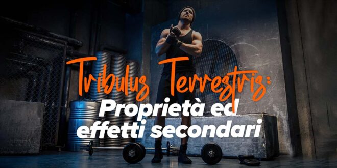 Tribulus Terrestris: Proprietà ed Effetti Secondari Tribulus Terrestris: Proprietà ed Effetti Secondari