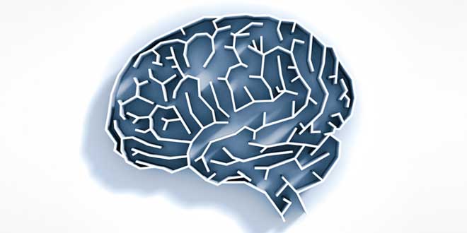 acai-funzione-cerebrale