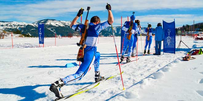 ginseng adattogeno ginseng adattogeno