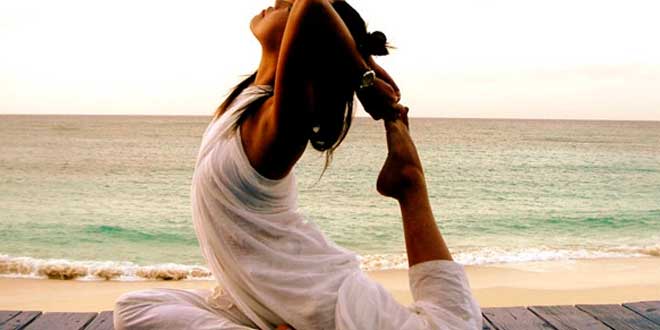 ginseng energia mentale ginseng energia mentale