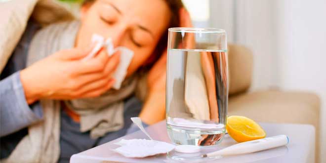 ginseng prevenzione raffreddore ginseng prevenzione raffreddore