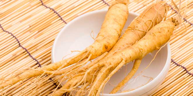 Ginseng siberiano – Cos’è, quali sono le sue proprietà e benefici Ginseng siberiano – Cos’è, quali sono le sue proprietà e benefici