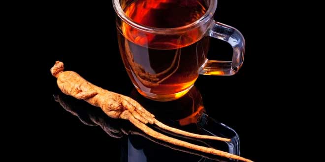 infuso ginseng infuso ginseng