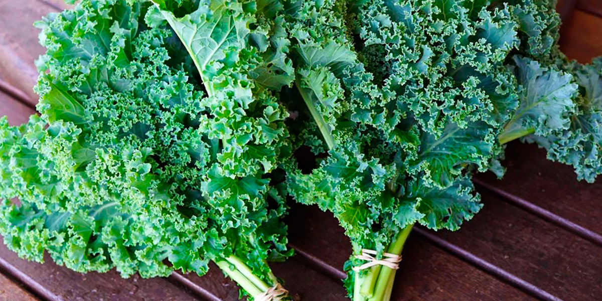 Kale appartiene alle crocifere