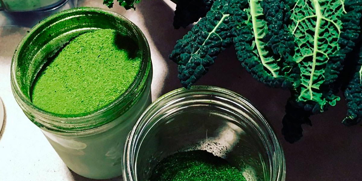 Polvere di Kale