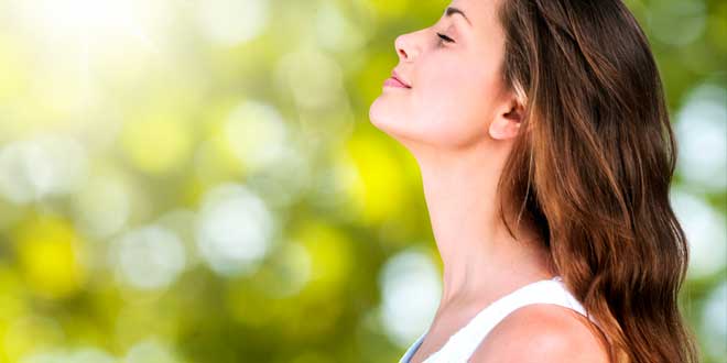 proprietà ginseng proprietà ginseng