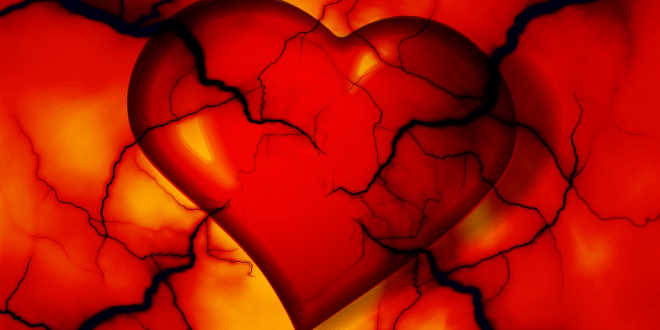 salute-cardiovascolare-consigli