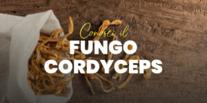 Cordyceps