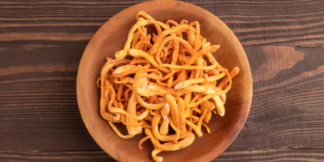 Fungo Cordyceps: proprietà, benefici e rendimento sportivo Fungo Cordyceps: proprietà, benefici e rendimento sportivo