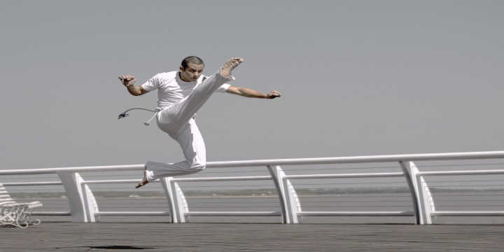 damiana energia damiana energia