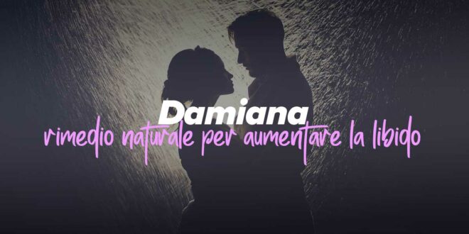 Damiana: un rimedio naturale per aumentare la libido Damiana: un rimedio naturale per aumentare la libido