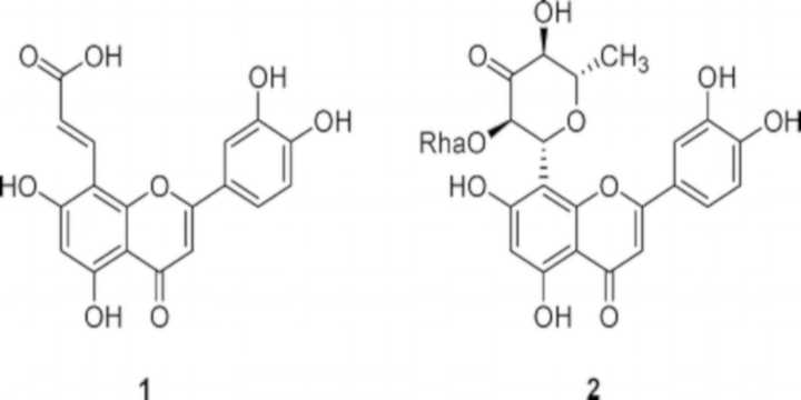 damiana turnera chimica damiana turnera chimica