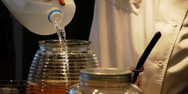 elaborazione kombucha 