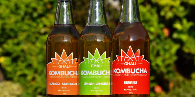 kombucha commercio bevande 