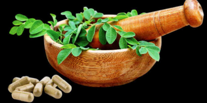 moringa ingrediente naturale capsule moringa ingrediente naturale capsule