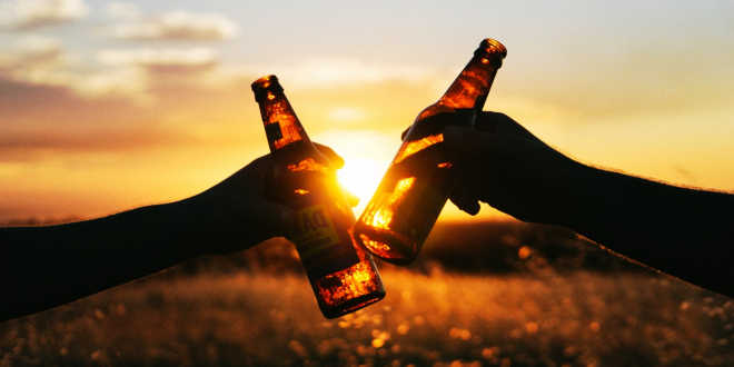 salute kombucha organismo 