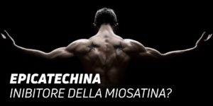 Epicatechina