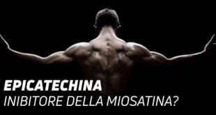 Epicatechina