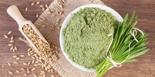 Erba d’Orzo: Proprietà e Benefici di questo Superfood Erba d’Orzo: Proprietà e Benefici di questo Superfood