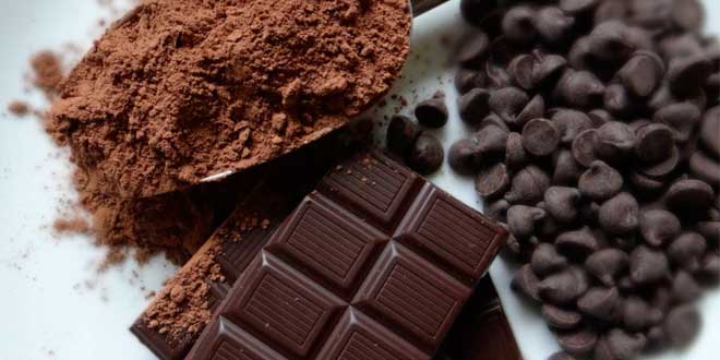 cacao epicatechina cacao epicatechina