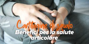 cartilagine-di-squalo