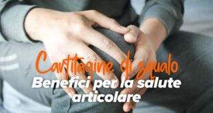 cartilagine-di-squalo