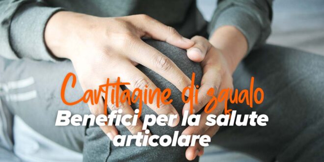 Cartilagine di squalo: proprietà e benefici per la salute delle articolazioni Cartilagine di squalo: proprietà e benefici per la salute delle articolazioni