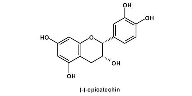 struttura molecolare epicatechina struttura molecolare epicatechina