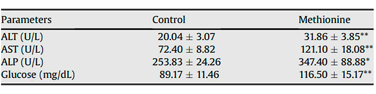 marcatori sierici marcatori sierici